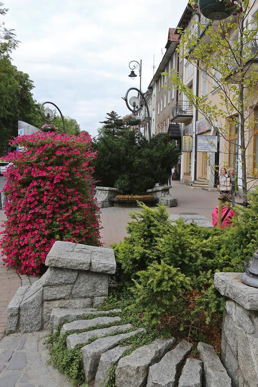 Appartamento Apartament Giewont Krupowki Zakopane Esterno foto